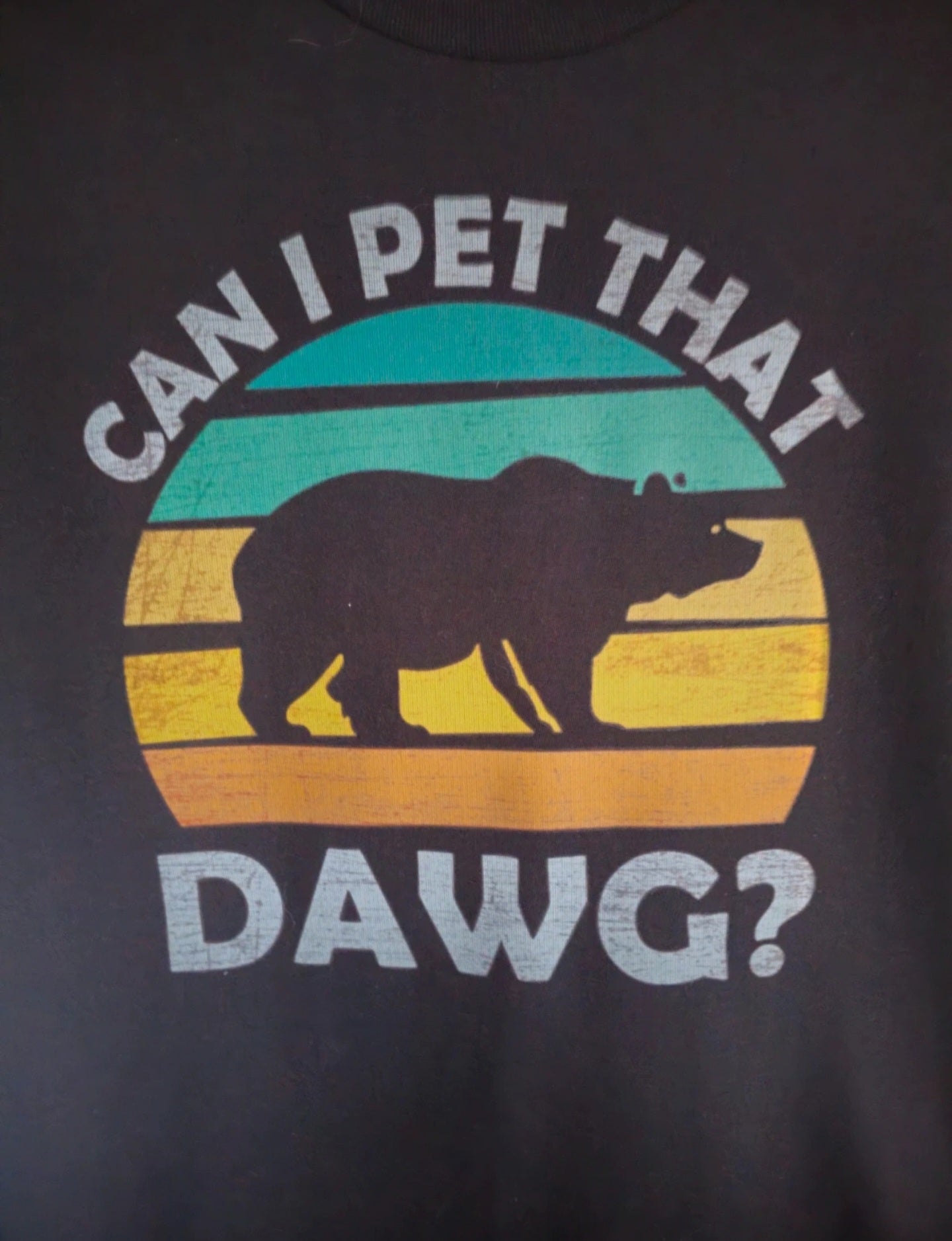 Black meme T-Shirt – Retro Bear Print “Can I Pet That Dawg "