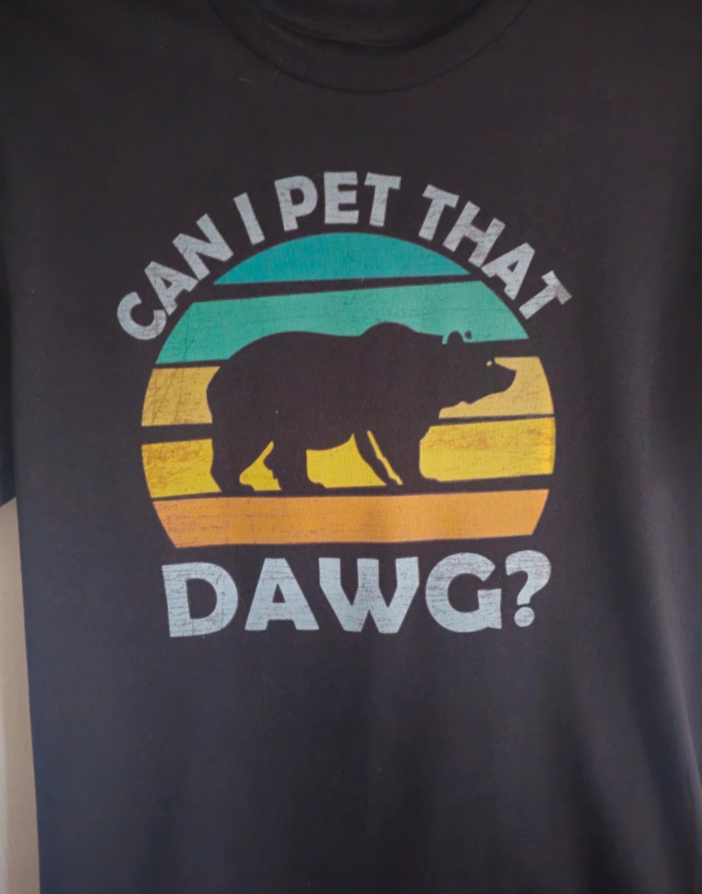 Black meme T-Shirt – Retro Bear Print “Can I Pet That Dawg "