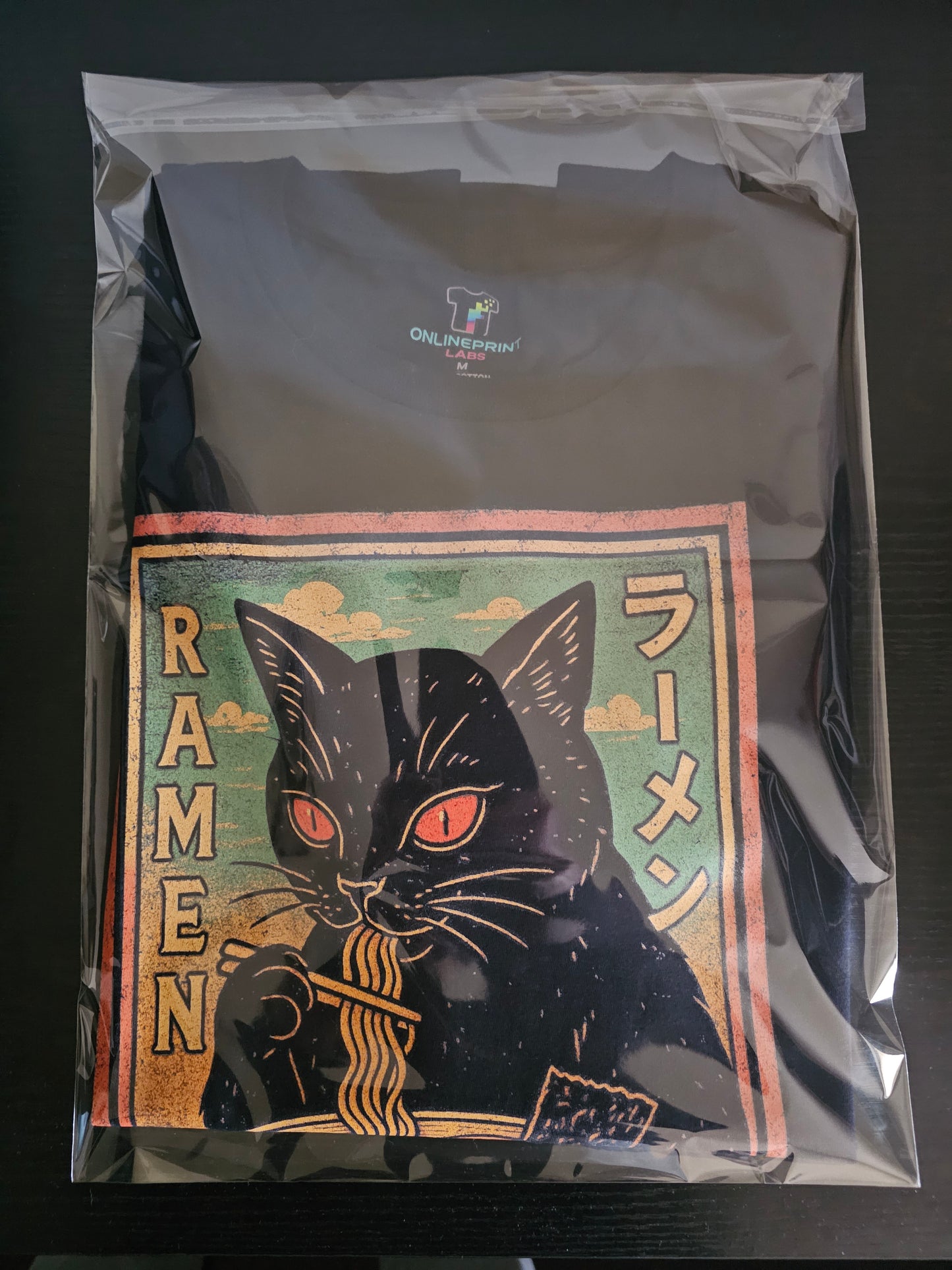 Ramen Cat T-Shirt | Japanese Streetwear Noodle Graphic Tee | Black Cat Anime Food Shirt